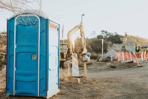 Affordable portable toilet rental in St Louis, MI